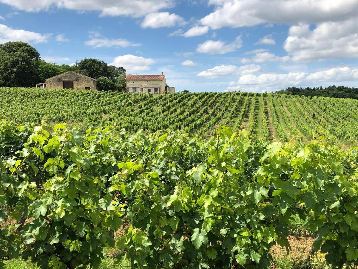 Chateau le Truch in Montussan, Région de Bordeaux