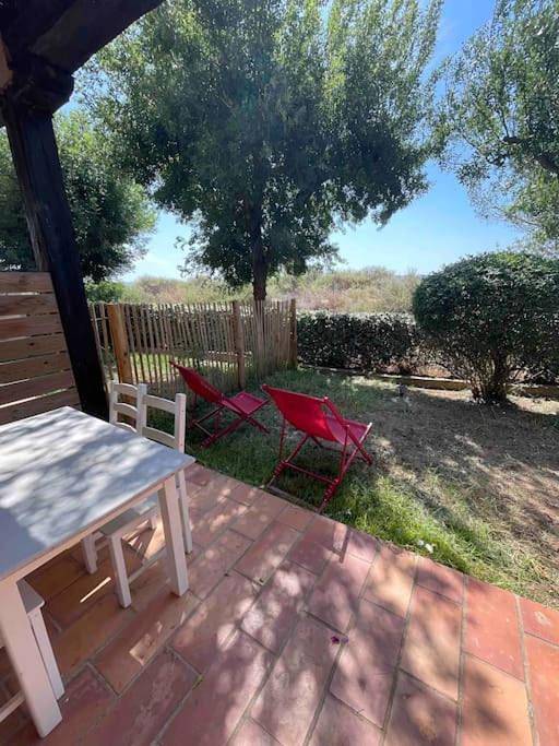 Gîte pour 3 personnes, avec terrasse dans Zone nature des vieux salins d'Hyères - 4