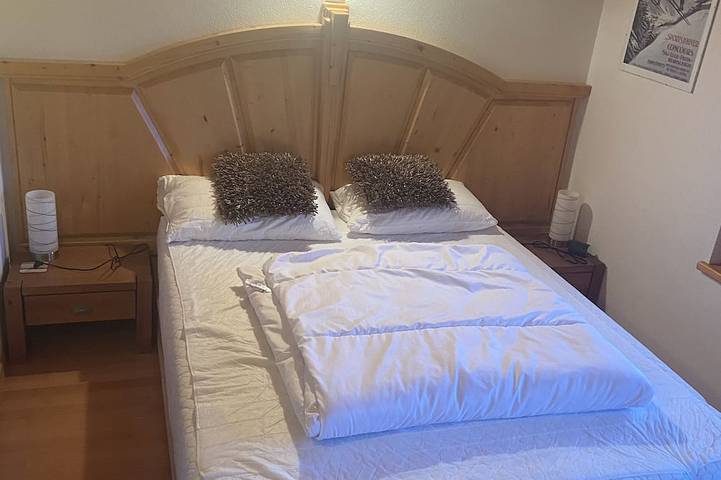 Gîte pour 8 personnes, avec piscine et jardin, animaux acceptés à Ayent - 2