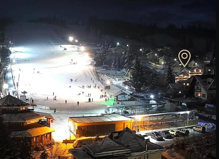 Villa pour 9 personnes, avec jardin ainsi que jacuzzi et sauna en Roumanie - 4