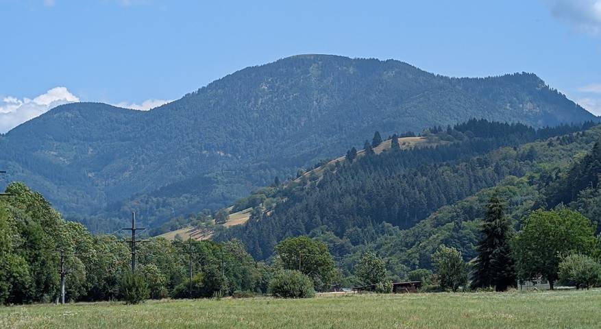 Ferienwohnung für 4 Personen, mit Balkon und Garten in Münstertal - 3