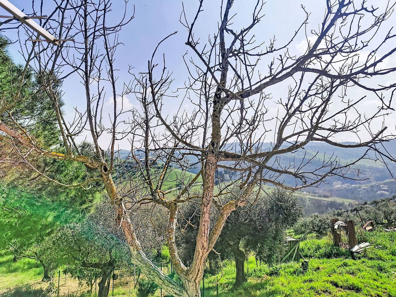 Velia'S House - Velia'S House 648.1 in Picciano, Province de Pescara