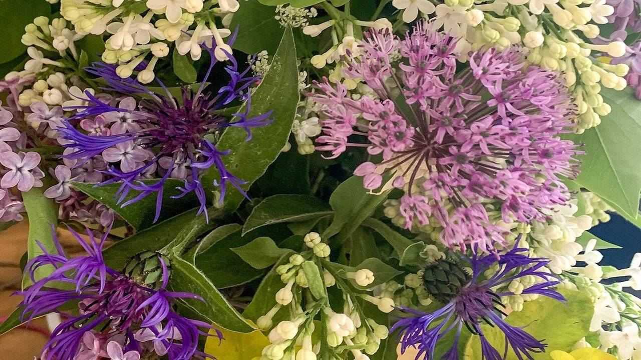 Ferienhaus für 4 Personen (40 m²) in Hallstavik in Stockholm und Umgebung