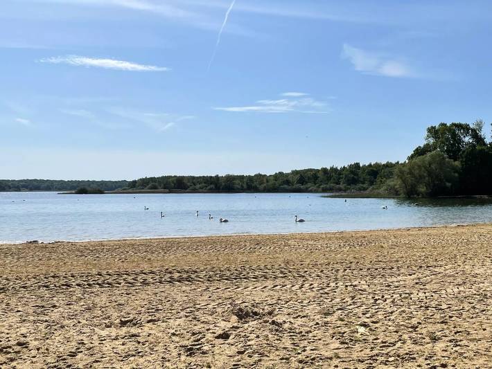 Location de vacances pour 7 personnes, avec jardin dans Lac du Der-Chantecoq - 4