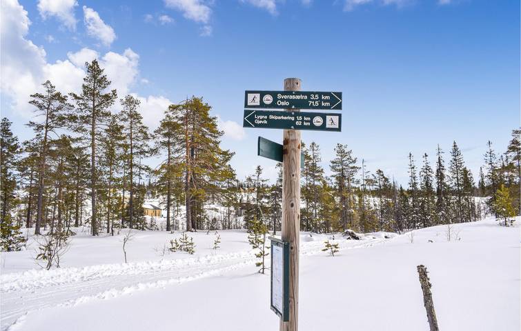 Ferienhaus für 5 Personen, mit Garten und Terrasse, mit Haustier in Ost-Norwegen - 4