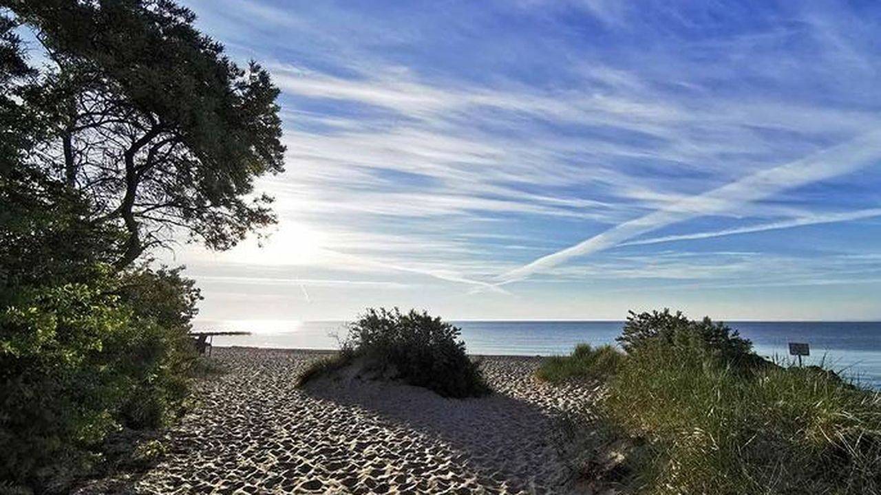 Ganze Ferienwohnung, Ferienwohnung für 2 Personen (40 m²) in Schashagen in Bliesdorf Strand, Schashagen