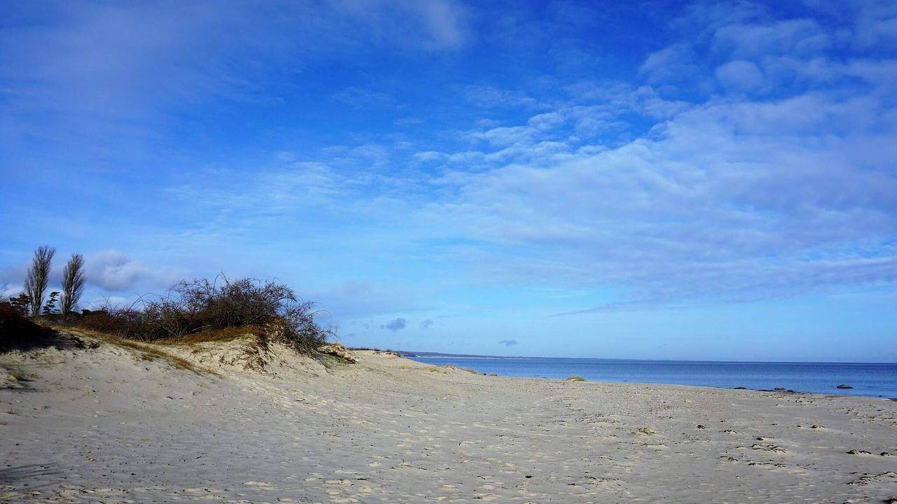 Ferienhaus für 6 Personen (100 m²) in Borrby in Borrby, Österlen