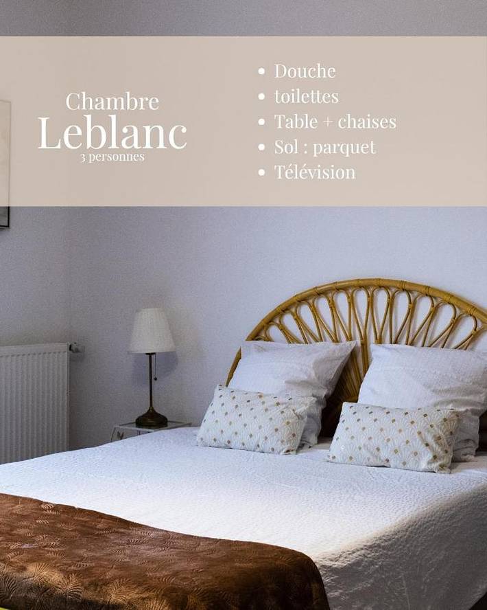 Chambre d’hôte pour 4 personnes, avec jardin à Dunkerque - 4