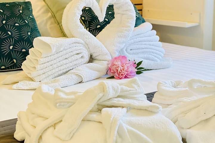 Location de vacances pour 4 personnes, avec jacuzzi, animaux acceptés à Villemoustaussou - 2