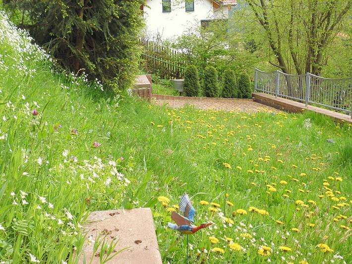 Ferienwohnung für 3 Personen, mit Balkon/Terrasse und Balkon in Wartburg - 4