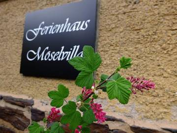 Ferienhaus für 10 Personen in Enkirch, Moseleifel, Bild 2