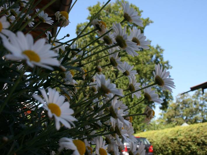 Ferienwohnung für 2 Personen, mit Balkon, kinderfreundlich in Rottach-Egern - 4