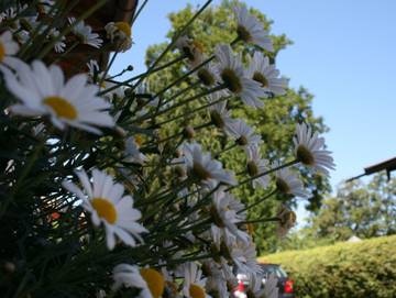 Ferienwohnung für 2 Personen in Rottach-Egern, Alpenland Tegernsee Schliersee, Bild 3