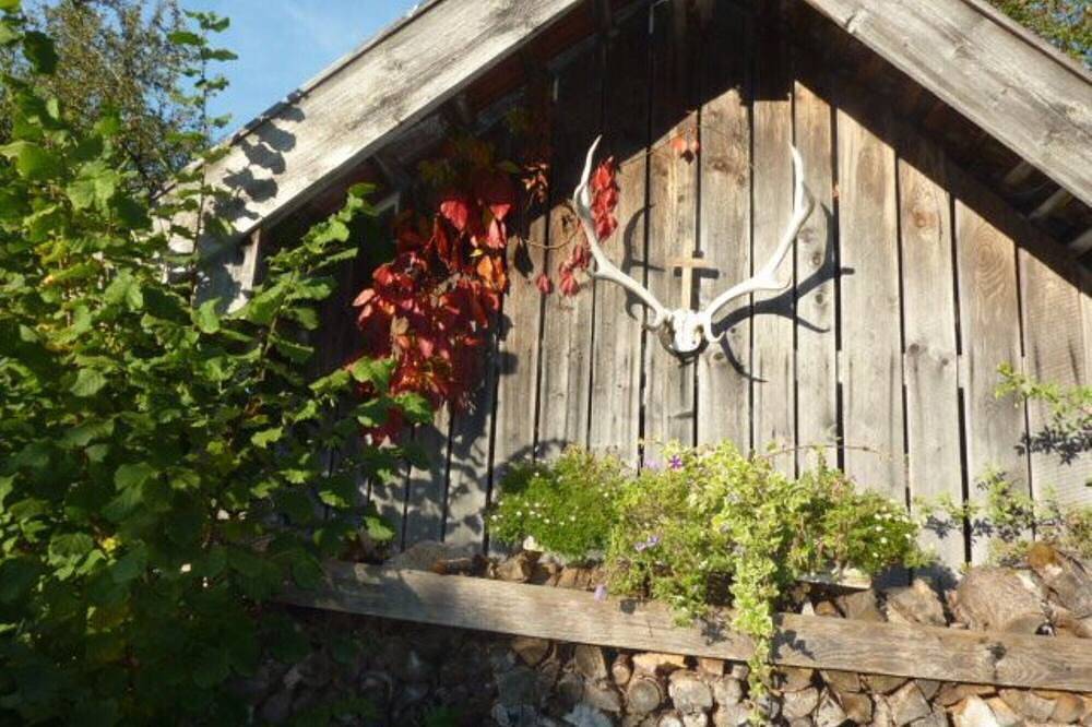 Ganze Wohnung, Heissbauer Rosentraum, Bergblick, zentral, ideal für Ausflüge mit Auto, Bike. in Wackersberg, Tölzer Land