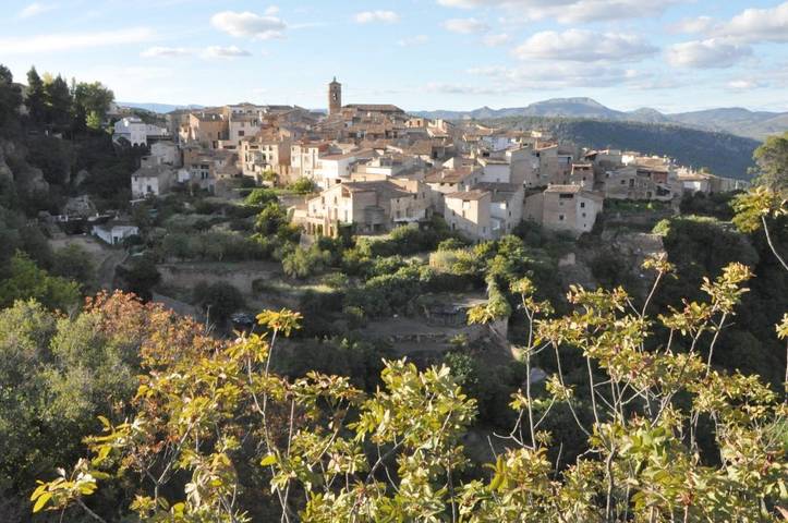 Casa de huéspuedes para 3 personas en Provincia de Albacete - 3