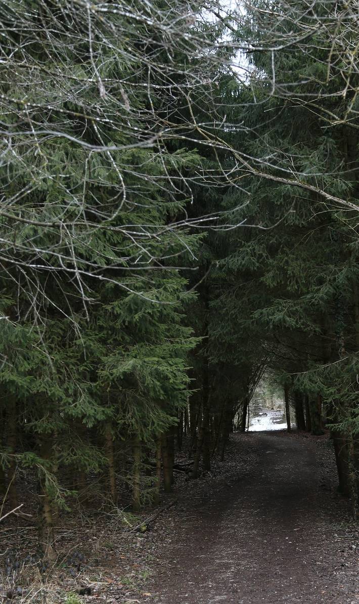 Ferienwohnung für 4 Personen, mit Balkon/Terrasse und Balkon, mit Haustier in Bad Endorf