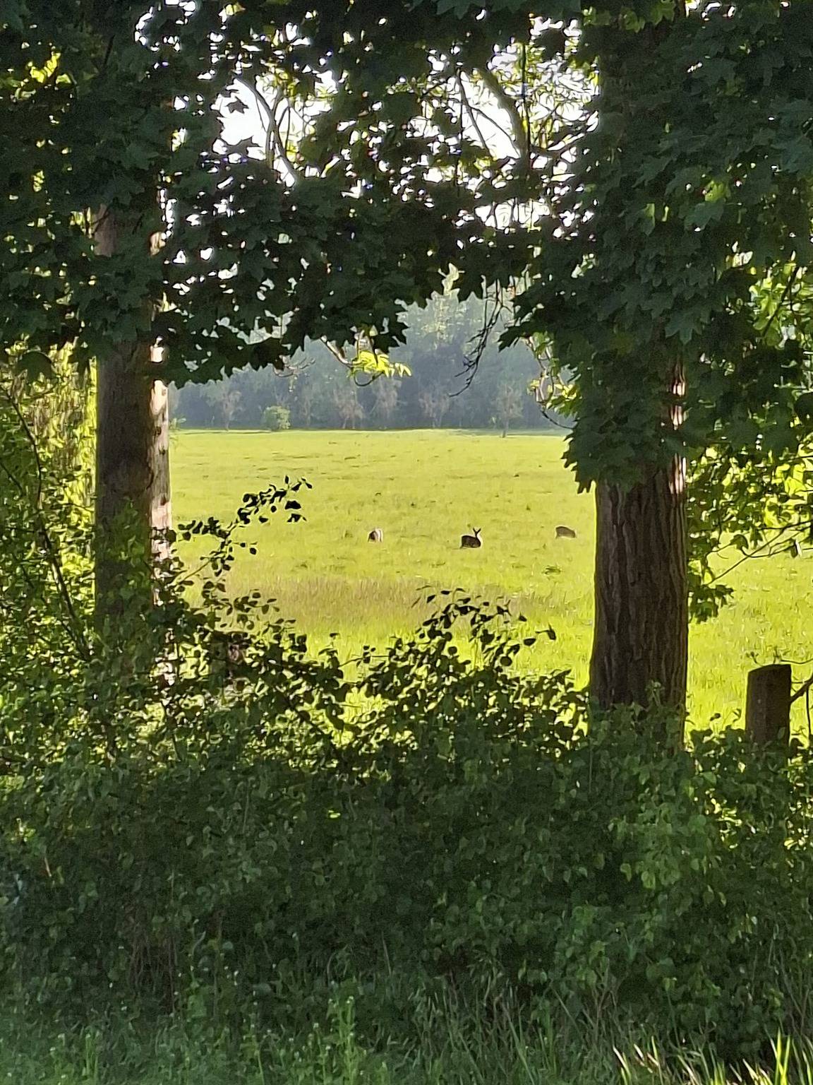 Ganze Ferienwohnung, Mühle Arnshall Fewo Henry - Fewo Henry, 2.Og, 126m², 2Schlafz., Küche mit Wohnz., 2Bäder, 4 Pers. in Arnstadt, Thüringer Kernland