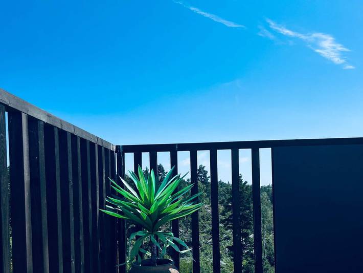 Ferienhaus für 6 Personen, mit Terrasse, mit Haustier in Risør - 4
