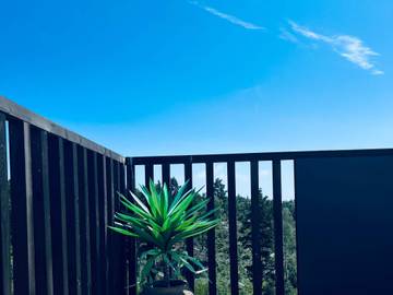 Feriehus til 6 Personer i Risør , Agder, Bilde 4