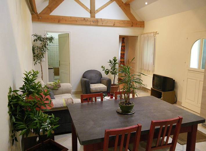 Gîte pour 4 personnes, avec terrasse et jardin à Tours - 3