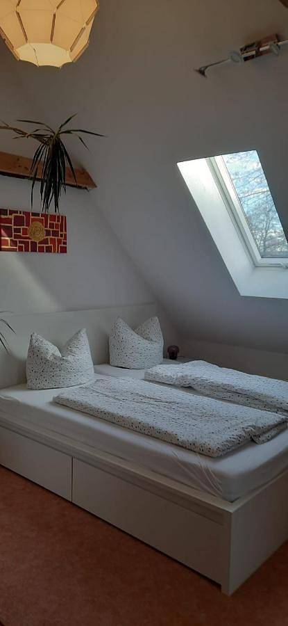 Ferienhaus für 8 Personen, mit Terrasse und Garten in Dresden - 2