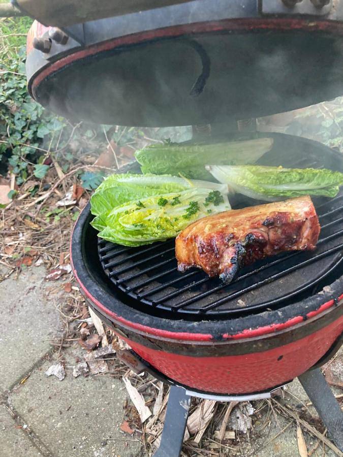 Camping für 4 Personen, mit Terrasse und Garten sowie Ausblick auf den Friesische Inseln - 2