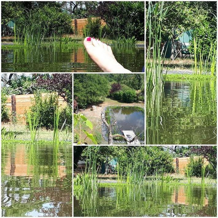 Ferienwohnung für 5 Personen, mit Terrasse und Garten sowie Pool und Ausblick in Lachendorf - 2