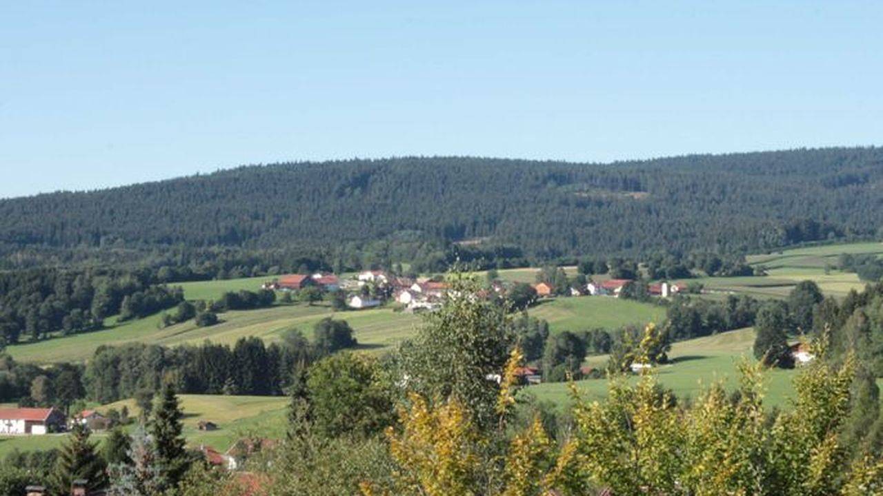 Ganze Ferienwohnung, Ferienwohnung für 4 Personen (56 m²) in Bischofsmais in Bischofsmais, Ostbayern