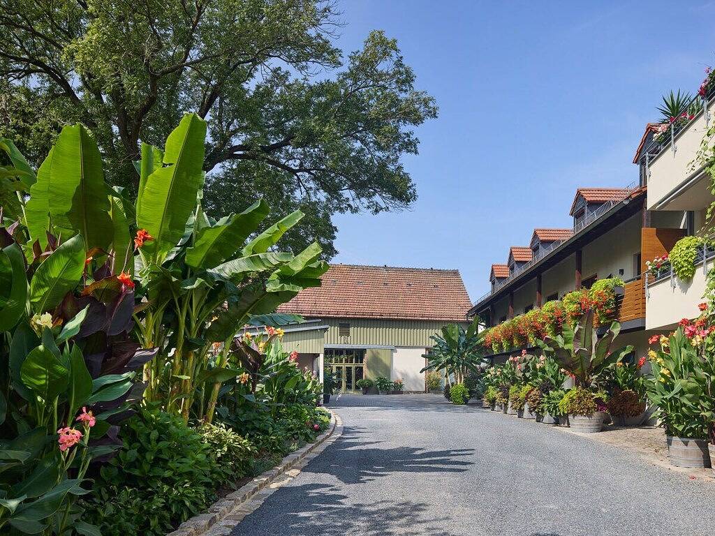 Ferienwohnung im Sonnenhof in Moritzburg, Meißen Region
