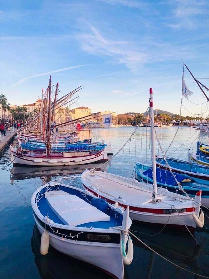 Gîte pour 6 personnes, avec vue et jardin dans Theatre Galli Sanary Sur Mer - 3