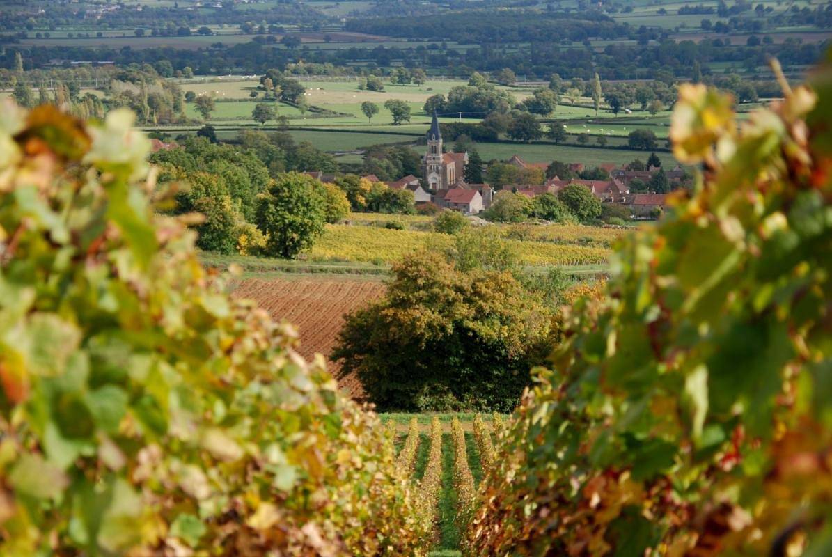 Les Pierres Dorées in Bonnay, Région de Mâcon