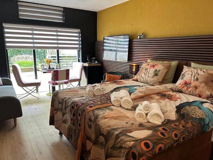 Chambre d’hôte pour 3 personnes, avec terrasse et vue, animaux acceptés à Vlissingen - 2