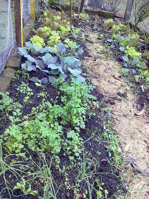 # Edles Creme-Chalet in der Ecke des Rasenberges in Gramado, Rio Grande do Sul