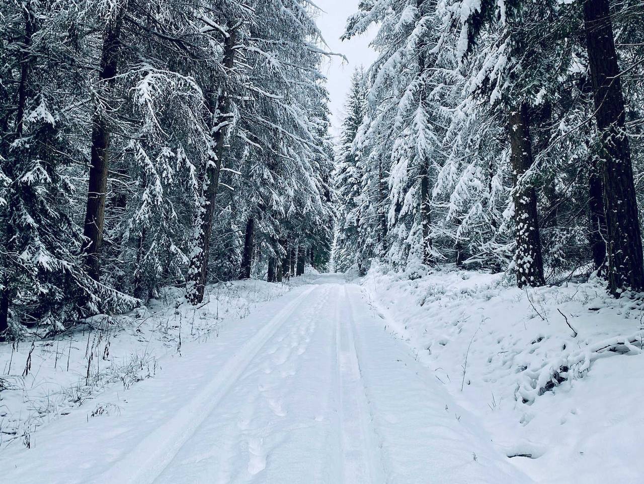 Vogtlfinn - Vogtländischer Hochgenuss mit Charakter - Finnhütte mit Schlafboden in Zwota, Klingenthal