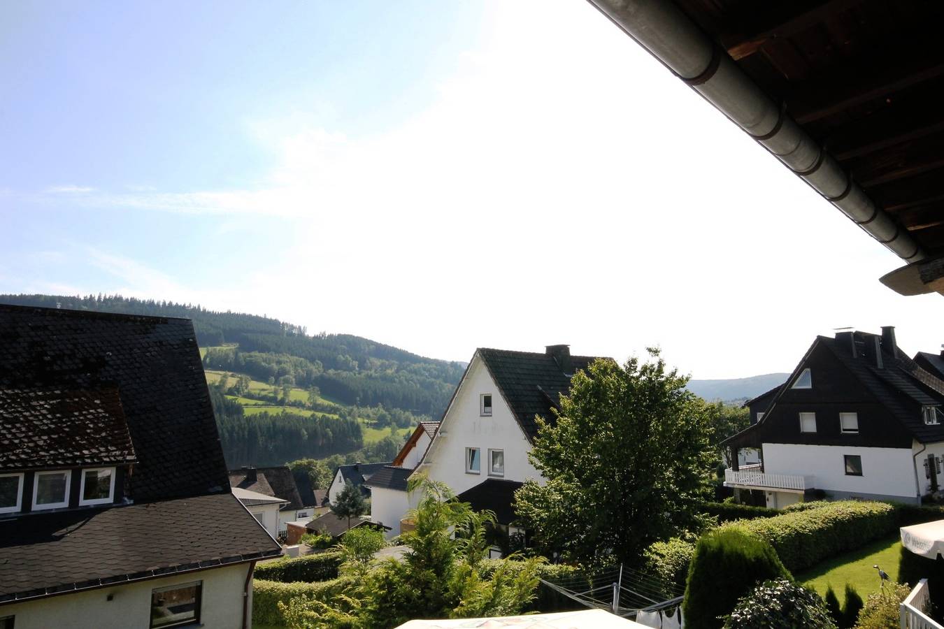 Ganze Wohnung, Ferienwohnung Kießler - Fewo Enzian mit großem Balkon mit Sitzgruppe und Grill in Züschen, Winterberg