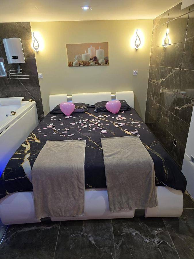 Gîte pour 2 personnes, avec piscine et jacuzzi ainsi que terrasse et sauna, animaux acceptés à Fénay - 3