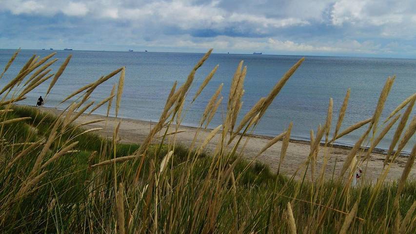 Ferienhaus für 5 Personen, mit Sauna und Terrasse, mit Haustier in Aalbæk - 4