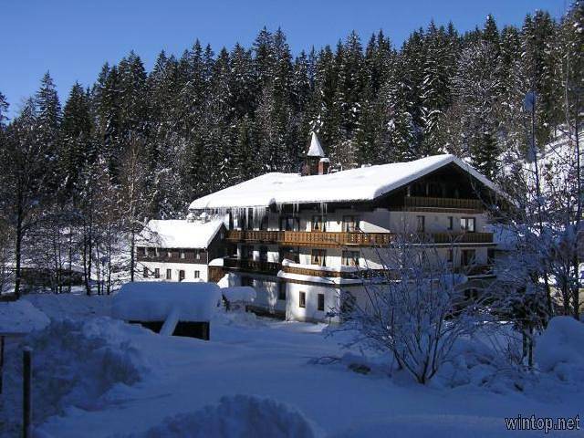 Natur- & Wanderhotel - Gasthof Mühle - Standardzimmer in Rinchnach, Vorderer Bayerischer Wald