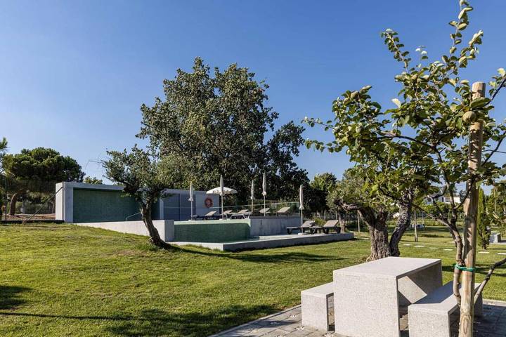 Casa rural para 4 personas, con vistas y piscina para niños además de piscina y jardín, Se admiten mascotas en Évora - 3