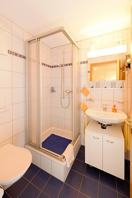 Ganze Ferienwohnung, Sierra Vista Wohnung Nr. 17 - 4-Bettwohnung in Grächen, Walliser Alpen