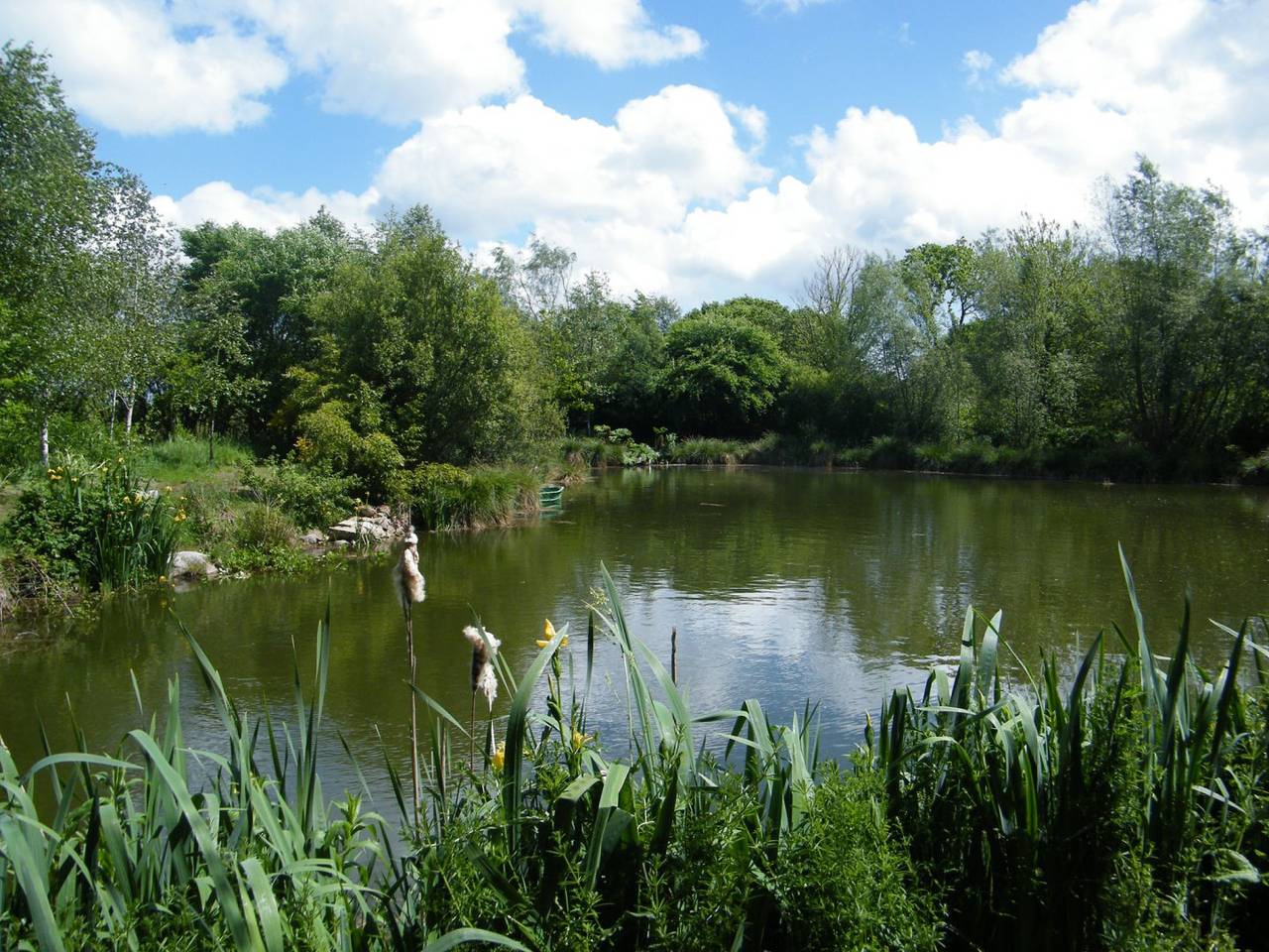 Gîte rural avec piscine proche de Perros-Guirec in Ploumilliau, Ceinture Dorée