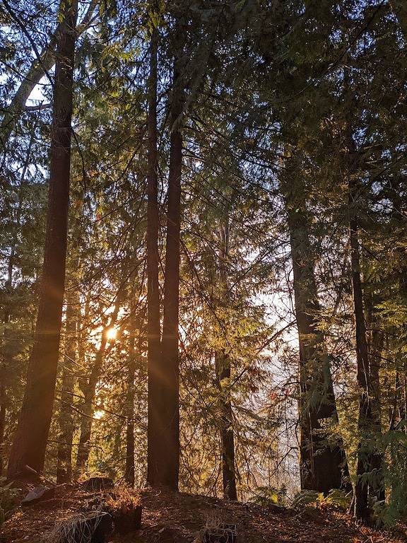 Cottage for 2 people, with garden and sauna as well as hot tub and terrace on Vancouver Island