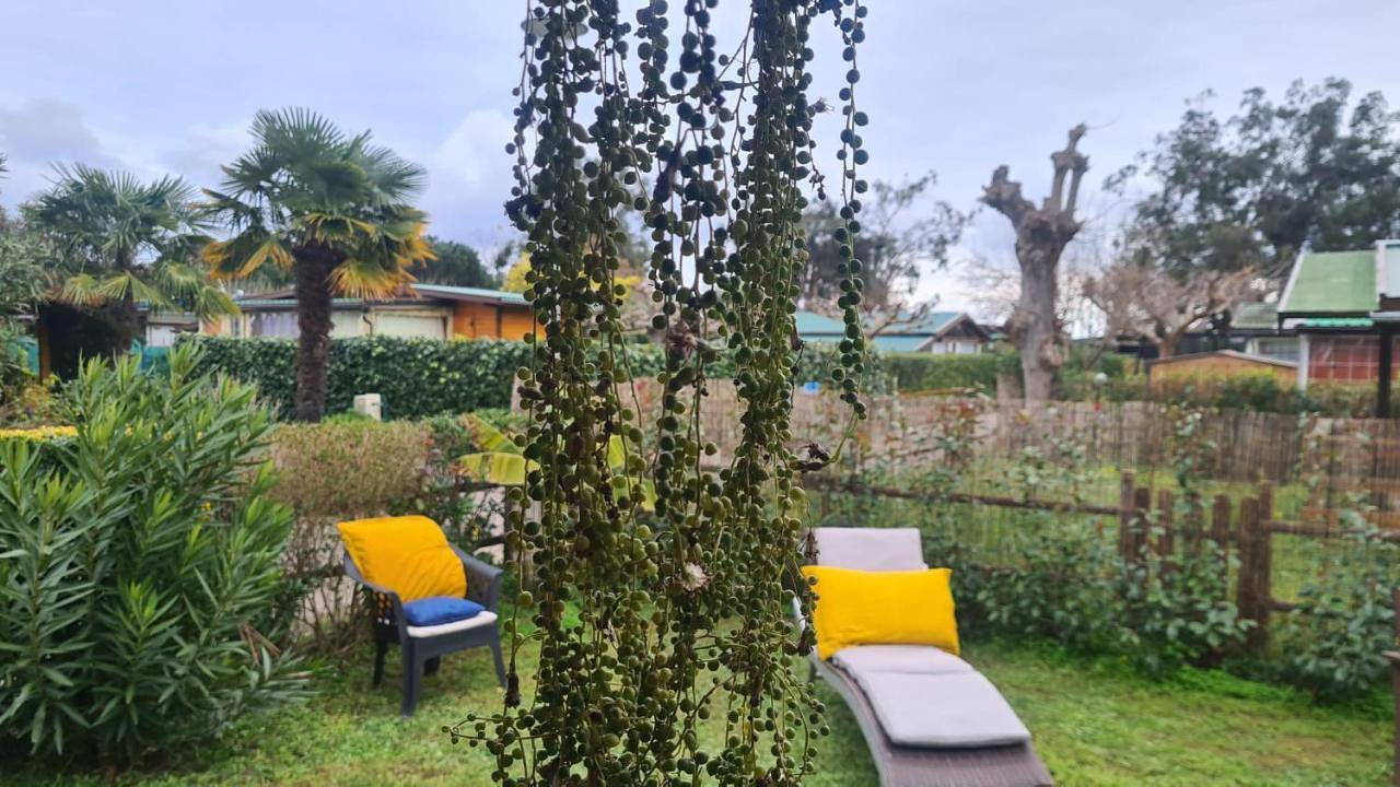 Mobile Home in Penta-di-Casinca, Arrondissement de Corte