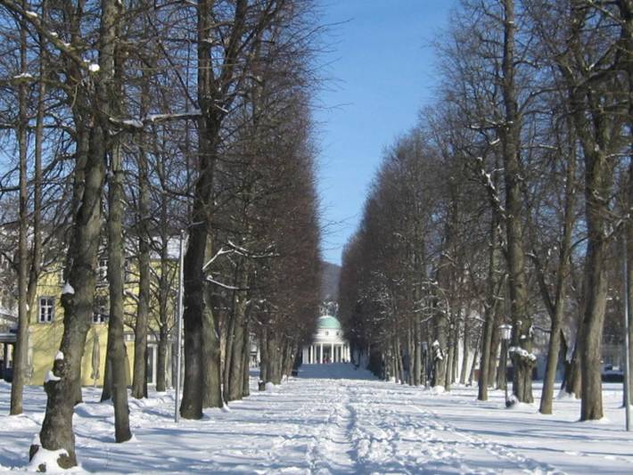Ferienwohnung für 5 Personen, mit Garten, kinderfreundlich in Bad Pyrmont - 3