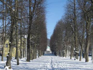 Ferienwohnung für 5 Personen in Bad Pyrmont, Weserbergland, Bild 2