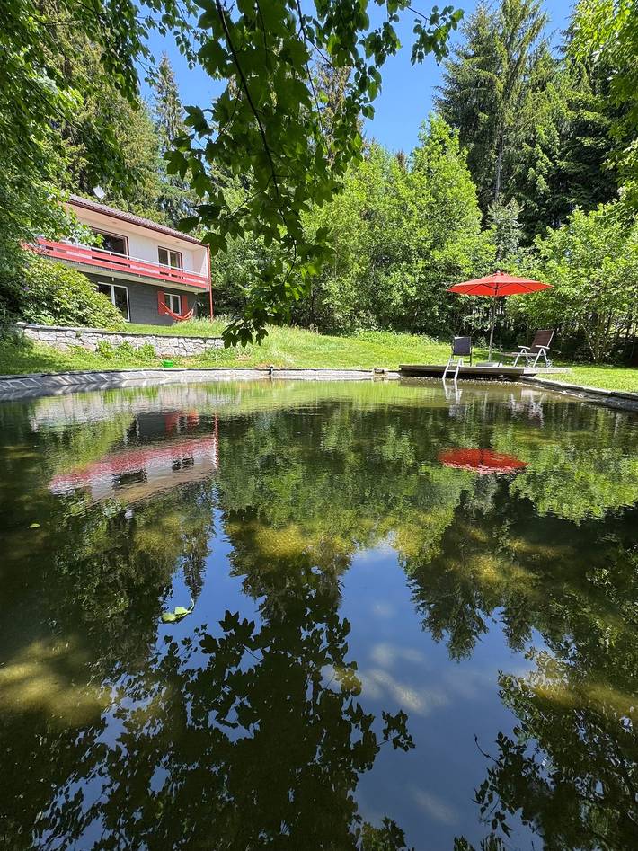 Ferienhaus für 8 Personen, mit Garten und Sauna in Suedlicher Schwarzwald - 2