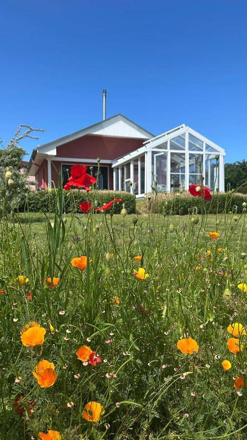 Ferienhaus für 4 Personen, mit Garten und Sauna sowie Ausblick, mit Haustier in Lohme