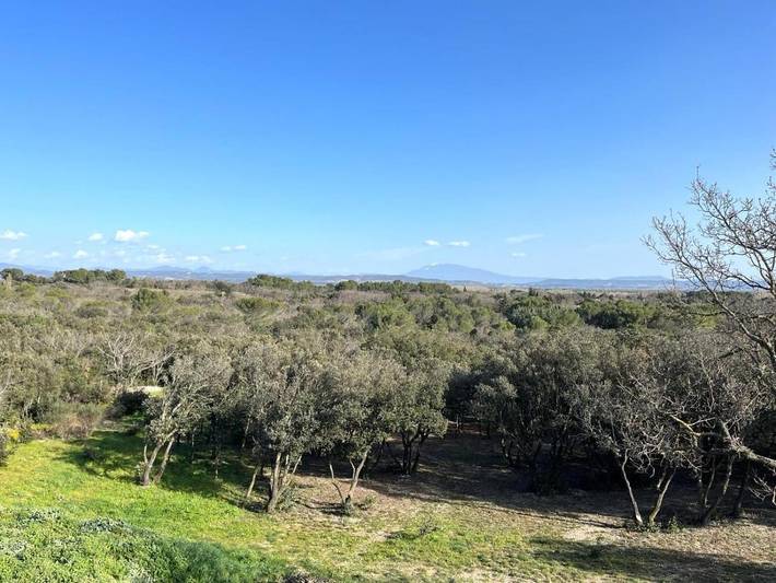 Location de vacances pour 24 personnes, avec jacuzzi et piscine ainsi que sauna et jardin à Montségur-sur-Lauzon - 2