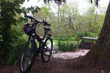 Gîte pour 6 personnes, avec jardin et terrasse, animaux acceptés à Gardonne