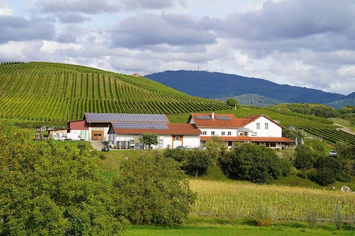 Ferienwohnung für 4 Personen, mit Balkon und Garten sowie Sauna in Schliengen